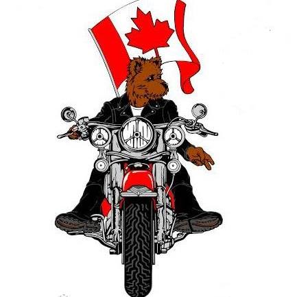 toy run 